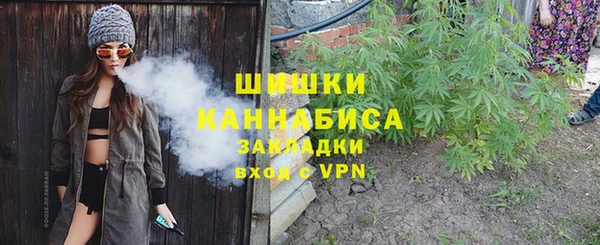 хмурый Рославль