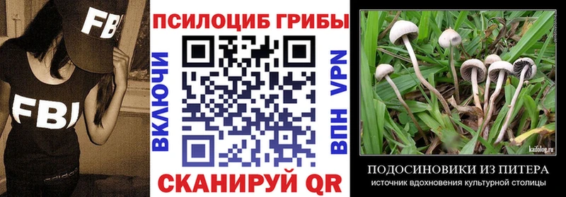 Псилоцибиновые грибы мухоморы  Пошехонье 